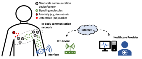 Zum Artikel "Seminar on the Internet of BioNanoThings"